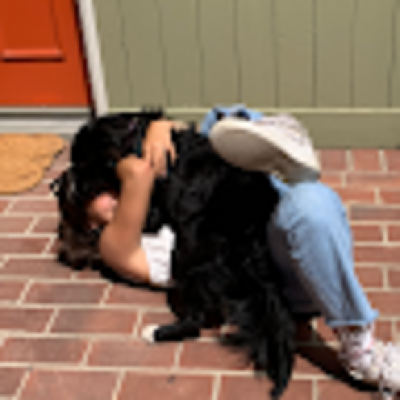 lucymessina524